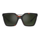 ASTERIA, Dark Tortoise Matte-Axis Polarized, hi-res image number null